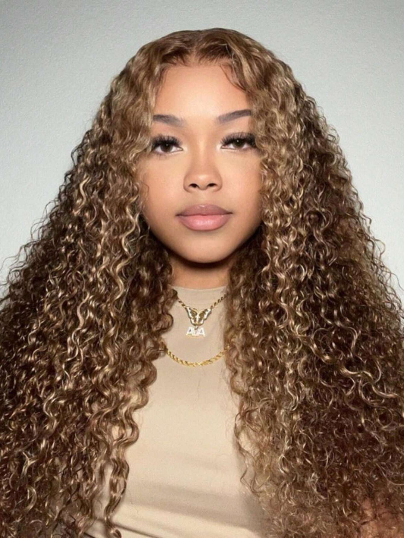 13x4 Lace Frontal Honey Blonde Highlights Pre-Everything Wig Pre Cut Lace Wig Human Hair Lace Front Wig For Women